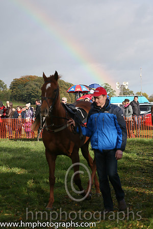 East Antrim Hunt P2P at Loughanmore