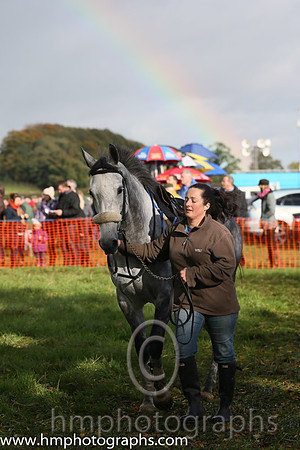 East Antrim Hunt P2P at Loughanmore