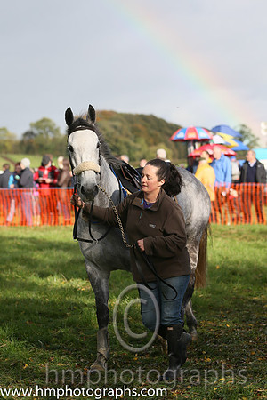 East Antrim Hunt P2P at Loughanmore