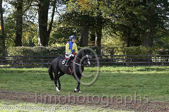 Killultagh Prince and H Dunne ( 6 , YELLOW  ROYAL BLUE QTD; yellow, plain sleeves; royal blue cap,white spots ) Trainer: Eoin G. Barry,, Owner : R.J. Armstrong