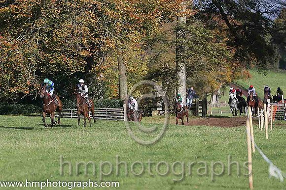 02nd Ballyoptic and D O'Connor ( 1 , BLACK  WHITE QTD; black,white hlvd sleeves; white cap ) Trainer: I. R. Ferguson,, Owner : W.W. Dennison