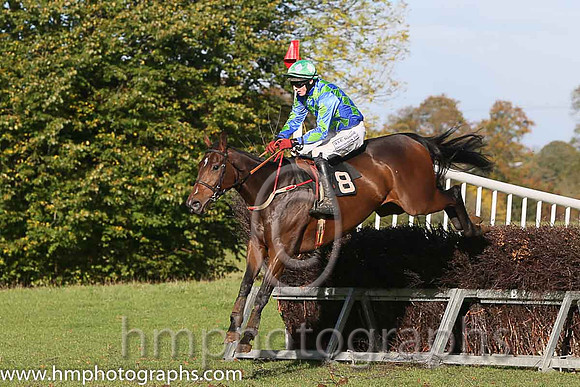 04th One Tick and D G lavery ( 8 , ROYAL BLUE  LIGHT GREEN DIAMONDS; royal blue,light green diamonds sleeves; royal blue  light green qtd cap ) Trainer: B.R. Hamilton,, Owner : Joseph P. Tumelty