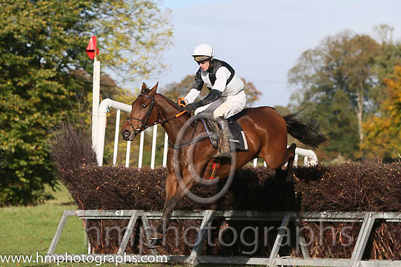 02nd Ballyoptic and D O'Connor ( 1 , BLACK  WHITE QTD; black,white hlvd sleeves; white cap ) Trainer: I. R. Ferguson,, Owner : W.W. Dennison