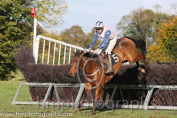 Clondaw Frisby and M J O'Hare ( 5 , PINK; blue, plain sleeves; pink  blue striped cap ) Trainer: J.G. Cosgrave,, Owner : Carnglave Racing