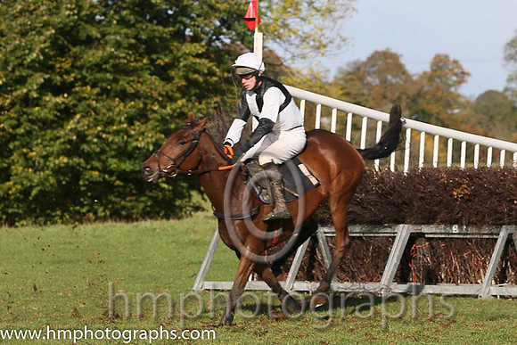 02nd Ballyoptic and D O'Connor ( 1 , BLACK  WHITE QTD; black,white hlvd sleeves; white cap ) Trainer: I. R. Ferguson,, Owner : W.W. Dennison
