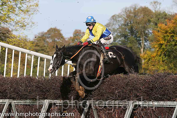Killultagh Prince and H Dunne ( 6 , YELLOW  ROYAL BLUE QTD; yellow, plain sleeves; royal blue cap,white spots ) Trainer: Eoin G. Barry,, Owner : R.J. Armstrong