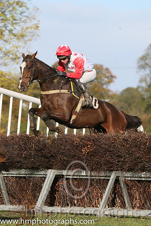 03rd Theatre One and N McParlan ( 10 , WHITE,red stars; red, plain sleeves; red cap,white star ) Trainer: Caroline McCaldin,, Owner : James Killen