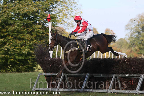 03rd Theatre One and N McParlan ( 10 , WHITE,red stars; red, plain sleeves; red cap,white star ) Trainer: Caroline McCaldin,, Owner : James Killen