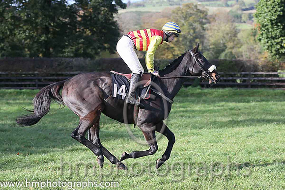 Grand Art and M J O'Hare ( 14 , RED  YELLOW HOOPS; yellow sleeves; yellow  blue hooped cap ) Trainer: Lyle Andrew,, Owner : Lyle Andrew
