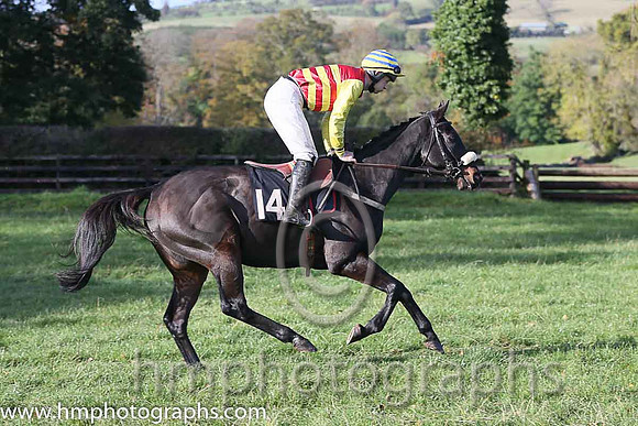 Grand Art and M J O'Hare ( 14 , RED  YELLOW HOOPS; yellow sleeves; yellow  blue hooped cap ) Trainer: Lyle Andrew,, Owner : Lyle Andrew