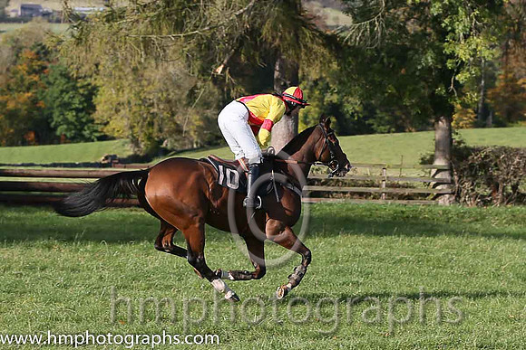 03rd Deputy Consort (Usa) and Miss K Ferris ( 10 , YELLOW,red cross belts; yellow,red armlet sleeves; yellow  red qtd cap ) Trainer: Eoin G. Barry,, Owner : Brian  Mary Ferris