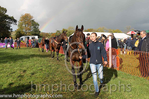 East Antrim Hunt Point to Point at Loughanmore
