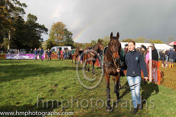 East Antrim Hunt P2P at Loughanmore