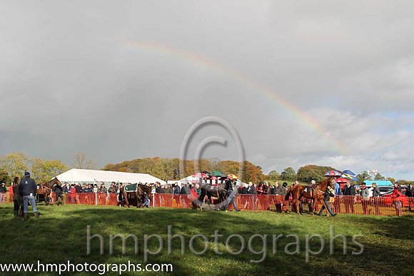 East Antrim Hunt Point to Point at Loughanmore