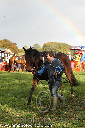 East Antrim Hunt P2P at Loughanmore
