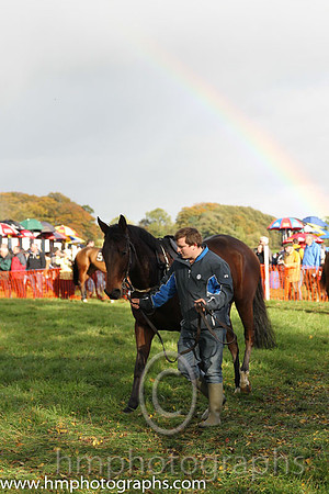 East Antrim Hunt P2P at Loughanmore