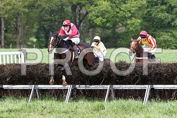 Fifth Race Div 1 - Carlinty (16) Winner, Rider W Thompson, Lady Shirley (6) 3rd, Rider B G Crawford & The Wee Girl (8) 2nd C McNally  - CU2D9661-e