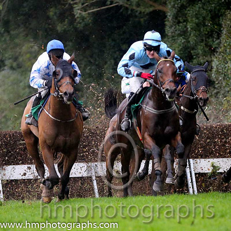 03 Darwins Theory and G N Fox - - 03rd (1 ,Light blue, dark blue diamond ) Trainer - J Queally