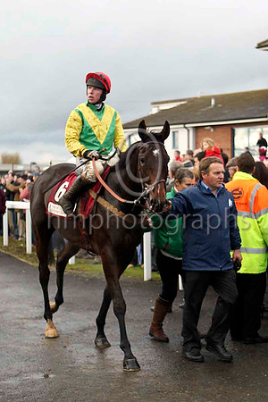 Sizing Europe , Jockey A E Lynch 2nd - FT8E4731-e2