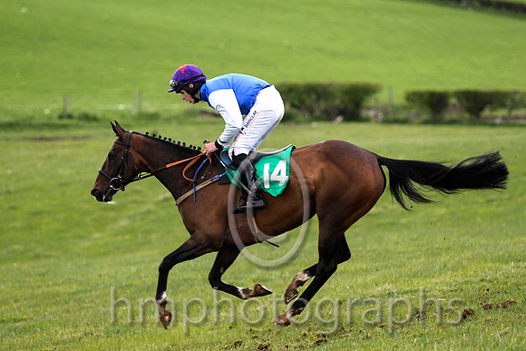 R3 - One Decent Dollar & B G Crawford - winner  (14, royal blue , white plain sleeves) -   - FT8E4787-e2