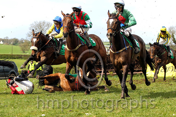 R5 Man With Van & B G Crawford - winner (15, emerald green, red diamond) - FT8E4936-e