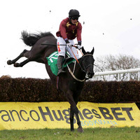 2013/05/11th - Race 1 The Newry Hunt Point to Point at Taylorstown