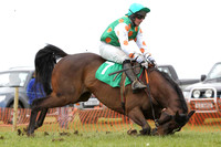 2013/05/11th - Race 1 The Newry Hunt Point to Point at Taylorstown