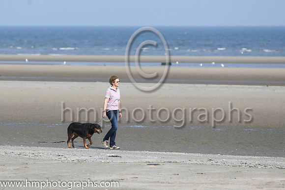 Laytown Races -AA1V2850