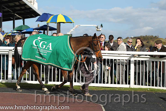 Tammys Hill - winner of the CGA Foxhunter Chase at Cheltenham - FT8E4326-4