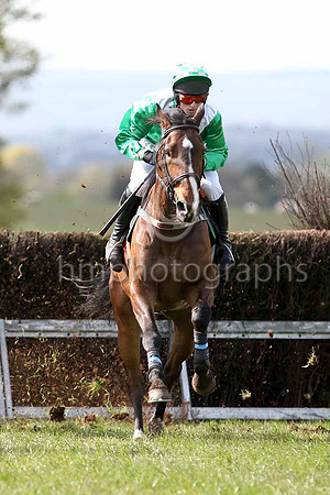 Little Luv (8 green white chevrons) & J J Codd - winnerIMG_9536-e2