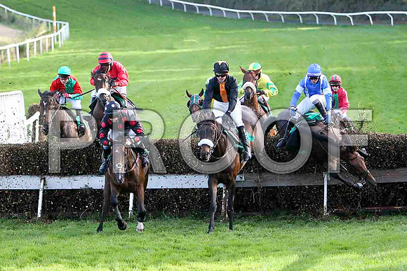 The Real Tyson falls - Jockey P Townend -  FT8E4904-e