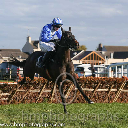 01st Fethard Player ( 1 , white, blue chevron ) and D.J. Mullins (3) - Trainer : W. F. Treacy - Owner : W. F. Treacy