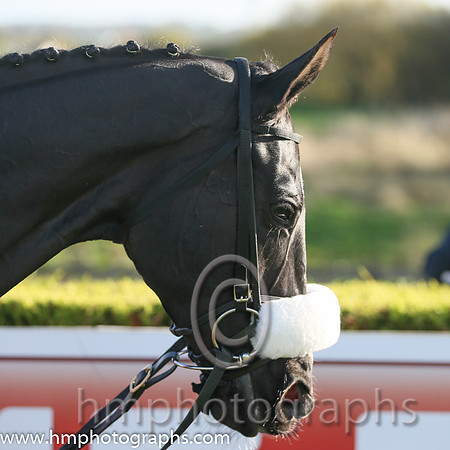 01st Don Cossack (GER) ( 1 , maroon, white hoop ) and B.J. Cooper - Trainer : Gordon Elliott - Owner : Gigginstown House Stud