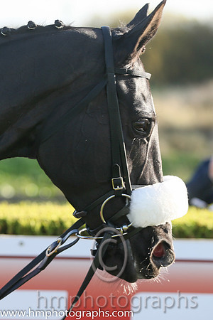 01st Don Cossack (GER) ( 1 , maroon, white hoop ) and B.J. Cooper - Trainer : Gordon Elliott - Owner : Gigginstown House Stud