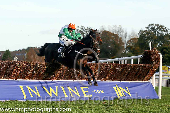 01st Knockanarrigan ( 6 , white, green sash ) and B. Hayes - Trainer : Ms. Sandra Hughes - Owner : Neville Eager