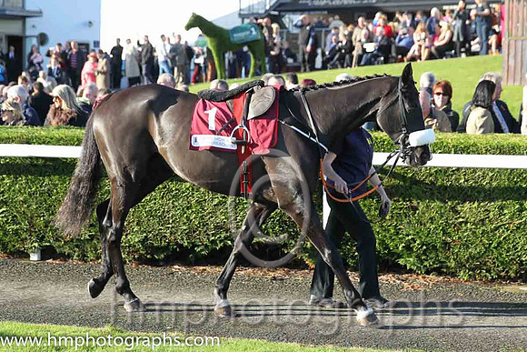 01st Don Cossack (GER) ( 1 , maroon, white hoop ) and B.J. Cooper - Trainer : Gordon Elliott - Owner : Gigginstown House Stud