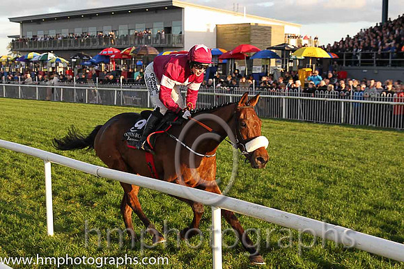 01st Death Duty ( 9 , maroon, white hoop ) and N. Carberry - Trainer : Gordon Elliott - Owner : Gigginstown House Stud