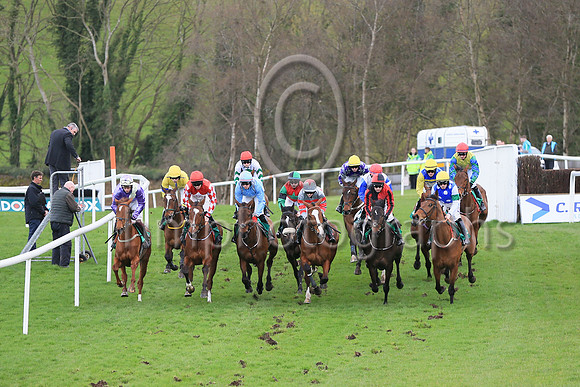 1 Law Ella (2 ,Light blue, grey epaulettes ), Jockey - K M Donoghue ,Trainer - G P Cromwell