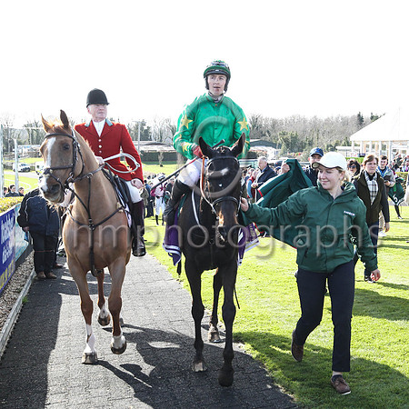 Malina Girl and rider Keith Donoghue enter the winner's enclosure after winning the win the Randox Ulster National Handicap Steeplechase at Downpatrick on 2nd April 2023. malina Girl is trained by Gav