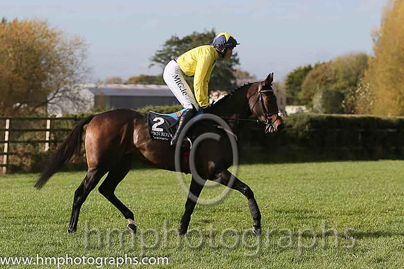03rd Tiliver (FR) ( 2 , yellow, blue sash ) and A.P. Heskin - Trainer : Alan Fleming - Owner : Barry Connell