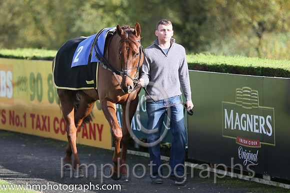 08th Betancourt ( 2 , yellow, black diamond ) and R.C. Colgan - Trainer : Mrs John B. Ross - Owner : Mrs John B. Ross