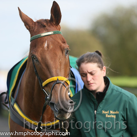 01st De Name Escapes Me ( 3 , orange and green hoops ) and M.P. Walsh - Trainer : Noel Meade - Owner : John P. McManus