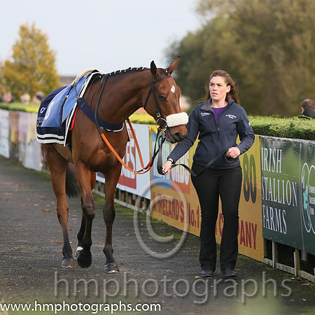 02nd Space Cadet ( 8 , red and white stripes ) and K.M. Donoghue - Trainer : Gordon Elliott - Owner : C.Jones