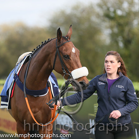 02nd Space Cadet ( 8 , red and white stripes ) and K.M. Donoghue - Trainer : Gordon Elliott - Owner : C.Jones