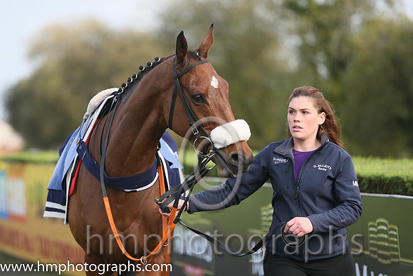 02nd Space Cadet ( 8 , red and white stripes ) and K.M. Donoghue - Trainer : Gordon Elliott - Owner : C.Jones