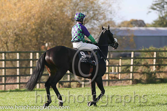 07th Odit (GER) ( 9 , green and purple check ) and S.D. Torrens (7) - Trainer : Mervyn Torrens - Owner : Liam Kerrigan
