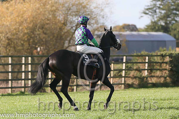 07th Odit (GER) ( 9 , green and purple check ) and S.D. Torrens (7) - Trainer : Mervyn Torrens - Owner : Liam Kerrigan