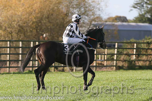 09th Lindenhurst ( 3 , black and white diamonds ) and M.J. Bolger - Trainer : John C. McConnell - Owner : Derek Kierans