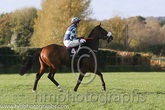 04th Diamond King ( 4 , blue, light blue hoop ) and K.M. Donoghue - Trainer : Gordon Elliott - Owner : Mrs Diana L. Whateley