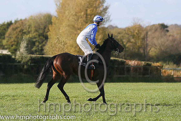 01st Fethard Player ( 1 , white, blue chevron ) and D.J. Mullins (3) - Trainer : W. F. Treacy - Owner : W. F. Treacy
